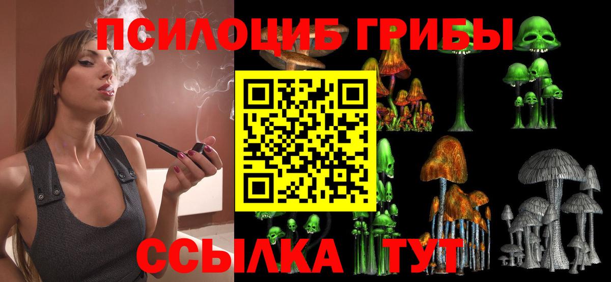 Галлюциногенные грибы Psilocybe Вольск