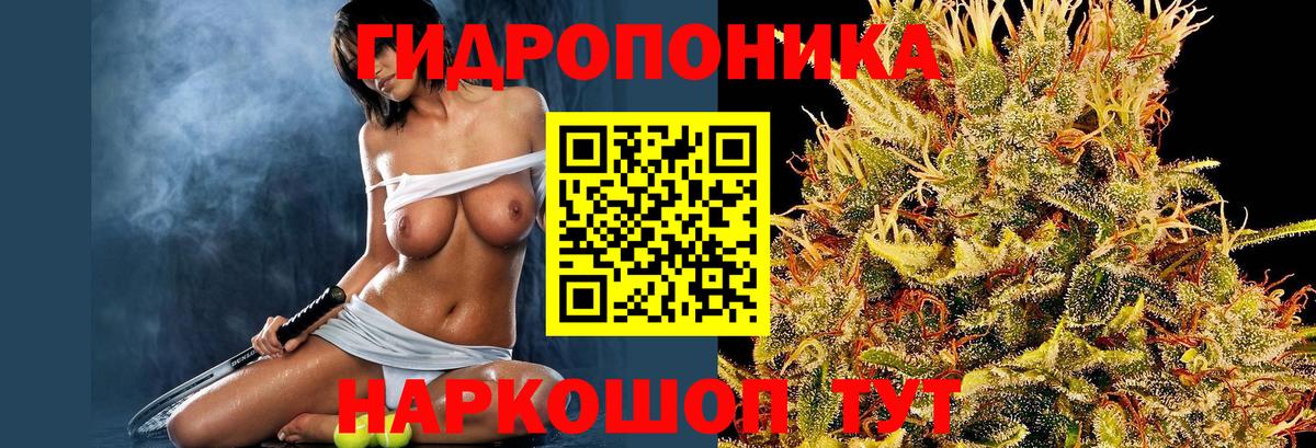 Вольск  Каннабис Bruce Banner  Марихуана гибрид  МАРИХУАНА OG Kush  Вход с VPN 